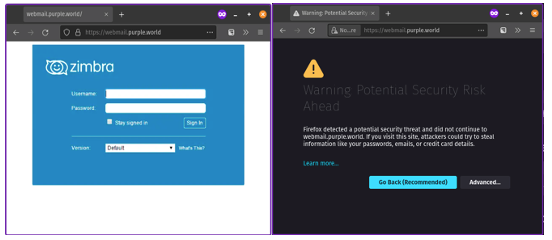 Digital Certificates and DNS Hijacking – A Real-life Scenario